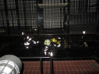 1440_IMG_0077.JPG