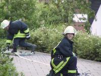 380_109-0933_IMG.JPG
