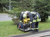 398_109-0968_IMG.JPG