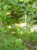 706_P7010229.JPG