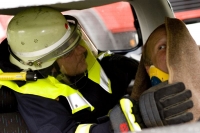 964_IMG_5986.jpg